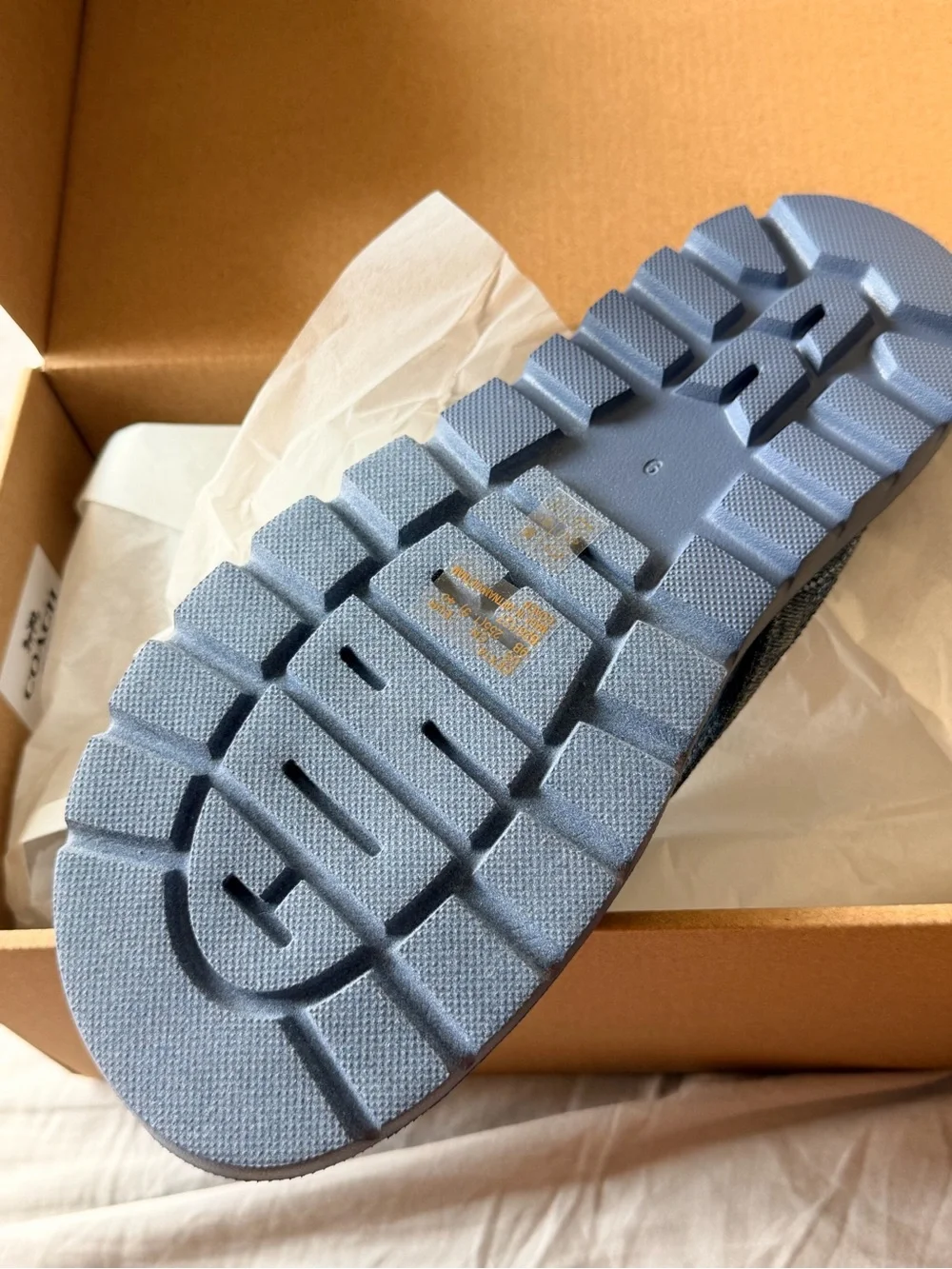 Coach Brynn Thong Sandals
